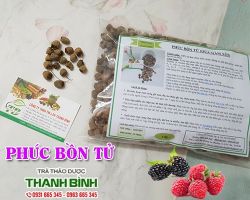 Mua bán phúc bồn tử tại Hà Nội uy tín chất lượng tốt nhất