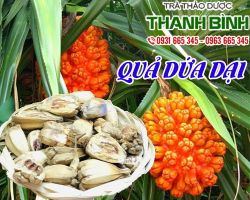 Mua bán quả dứa dại tại quận 4 giúp bổ máu