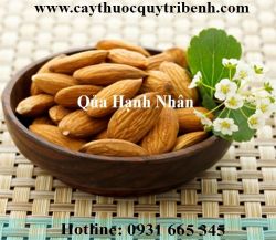 Mua bán quả hạnh nhân tại quận 11 giúp phòng chống ung thư tốt nhất