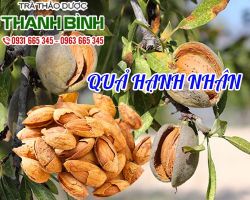 Mua bán quả hạnh nhân tại quận 8 có tác dụng phòng chống táo bón
