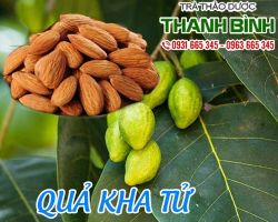 Mua bán quả kha tử ở huyện Bình Chánh điều trị lỵ kinh niên