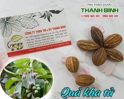 Mua bán quả kha tử tại huyện Mê Linh có tác dụng bảo vệ gan