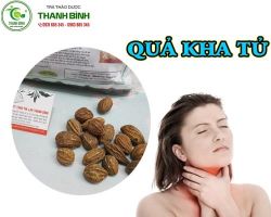Mua bán quả kha tử tại quận 10 giúp điều trị khô cổ cảm giác khó nuốt