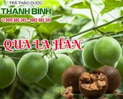 Mua bán quả la hán tại quận 1 hỗ trợ điều trị viêm phế quản