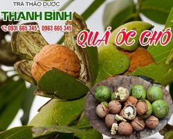 Mua bán quả óc chó tại quận 1 cải thiện chức năng sinh lý ở nam giới