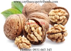 Mua bán quả óc chó uy tín tại Long An có tác dụng phòng chống bệnh tật