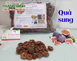 Mua bán quả sung tại huyện Đan Phượng có tác dụng phòng chống ung thư