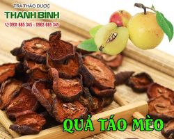 Mua bán quả táo mèo ở quận Gò Vấp hỗ trợ giải độc gan