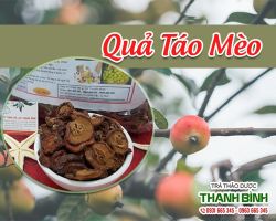 Mua bán quả táo mèo tại huyện Gia Lâm chữa rối loạn mỡ máu