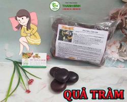 Mua bán quả tràm tại quận 8 có công dụng phòng chống cơn co giật