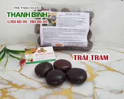 Mua bán quả tràm (trái tràm) tại tp hcm uy tín chất lượng tốt nhất