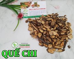 Mua bán quế chi tại Cao Bằng có công dụng làm ấm cơ thể hiệu quả
