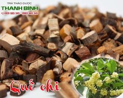 Mua bán quế chi tại huyện Mỹ Đức ngăn ngừa các cơn đau tim