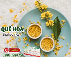 Mua bán quế hoa (trà hoa mộc) ở quận Tân Bình hỗ trợ điều trị đau bụng kinh