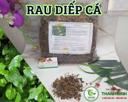 Mua bán rau diếp cá ở quận Gò Vấp giúp điều trị viêm phế quản tốt nhất