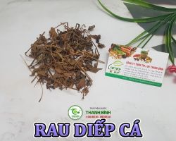 Mua bán rau diếp cá tại Dak Lak hỗ trợ điều trị ho, kể cả ho khan hiệu quả