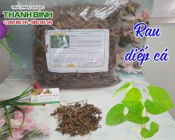 Mua bán rau diếp cá tại huyện Mỹ Đức chữa viêm ruột, kiết lỵ