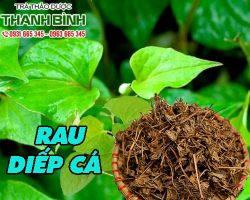 Mua bán rau diếp cá tại quận 4 có tác dụng thanh nhiệt