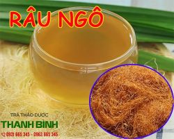 Mua bán râu ngô tại huyện Từ Liêm kích thích ăn ngon miệng