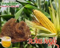 Mua bán râu ngô tại quận 6 có tác dụng hạ mỡ máu