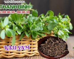 Mua bán rau sam ở quận Bình Tân làm giảm tình trạng đầy bụng
