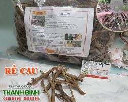 Mua bán rễ cau ở quận Bình Thạnh giúp điều trị phù thũng an toàn nhất