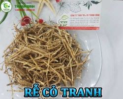 Mua bán rễ cỏ tranh tại quận 9 có công dụng giúp lợi tiểu hiệu quả