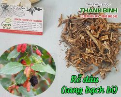 Mua bán rễ dâu tại huyện Chương Mỹ trị ho có đờm