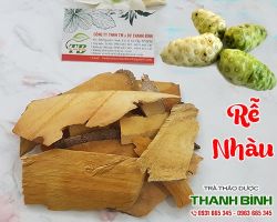 Mua bán rễ nhàu tại huyện Quốc Oai điều trị băng huyết