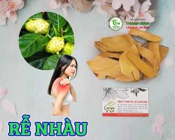 Mua bán rễ nhàu tại quận 11 hỗ trợ phục hồi sức khỏe đối với chứng suy nhược cơ thể