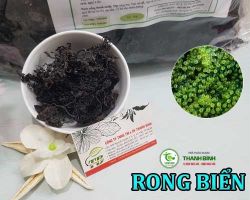 Mua bán rong biển ở quận Gò Vấp có công dụng giúp lưu thông máu hiệu quả