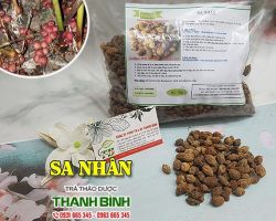 Mua bán sa nhân tại huyện Thạch Thất có tác dụng điều trị thai phụ hay nôn