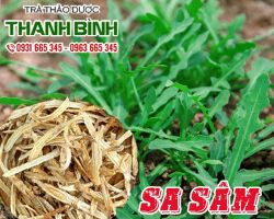 Mua bán sa sâm ở huyện Củ Chi hỗ trợ điều trị tức ngực