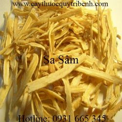 Mua bán sa sâm tại tp hcm uy tín chất lượng tốt nhất