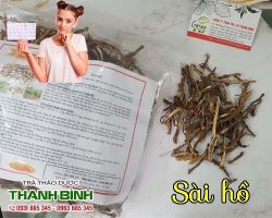 Mua bán sài hồ tại huyện Phúc Thọ chữa cơ thể hay bồn chồn