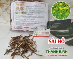Mua bán sài hồ tại quận 8 có tác dụng điều trị sa tử cung rất tốt