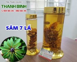 Mua bán sâm 7 lá tại quận Ba Đình chữa rắn cắn sưng phù
