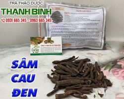 Mua bán sâm cau đen ở quận Bình Thạnh hỗ trợ điều trị lưng gối đau lạnh