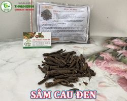 Mua bán sâm cau đen tại Sóc Trăng giúp điều trị bệnh lãnh cảm hiệu quả