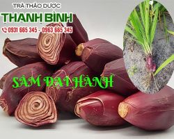 Mua bán sâm đại hành tại quận 4 giúp tăng chất lượng hồng cầu