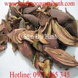 Mua bán sâm đại hành uy tín tại Quảng Nam điều trị ho ra máu tốt nhất