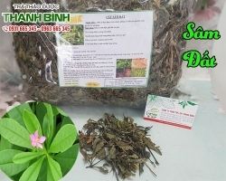 Mua bán sâm đất tại huyện Đông Anh có tác dụng giảm đau hiệu quả