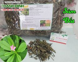 Mua bán sâm đất tại quận Hoàn Kiếm có tác dụng nhuận tràng