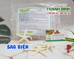 Mua bán sao biển ở huyện Bình Chánh giúp làm mau lành vết thương