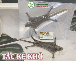 Mua bán tắc kè khô tại Quảng Bình giúp giảm bớt căng thẳng