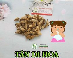 Mua bán tân di hoa tại Lào Cai có công dụng cải thiện triệu chứng đau đầu hiệu