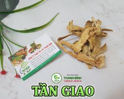 Mua bán tần giao tại Cao Bằng hỗ trợ giảm đau mạnh mẽ ở các khớp do tuổi già