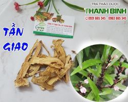 Mua bán tần giao tại quận Đống Đa chống dị ứng hiệu quả
