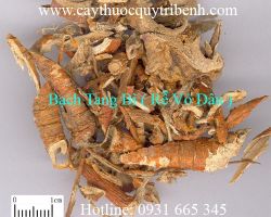 Mua bán tang bạch bì (rễ vỏ dâu) ở đâu tại tp hcm ???