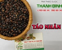 Mua bán táo nhân tại Bình Phước giúp hạ nhiêt cơ thể rất tốt